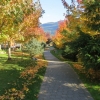 Garden Path in Fall